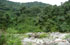 Tucum�n: Monteros, pr. El Indio, 27�05'02''S 65�39'58''W, 695 m.