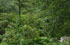 Tucum�n: Monteros, entre apeadero Mu�oz y el Mollar, 26�57'54''S 65�39'37''W, 1735 m.