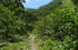 Tucum�n: Taf� del Valle, El Rinc�n, camino a la quebrada del Portugu�s, 26�58'36''S 65�45'07''W, 2150 m.
