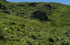 Tucum�n: Taf� del Valle, cerca de Loma Pelada, 26�56'39''S 65�46'40''W, 2330 m.