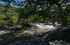 Tucum�n: Taf� del Valle, pr. Cascada Los Alisos, 26�55'54''S 65�47'14''W, 2400 m.