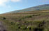 Tucum�n: Taf� del Valle, Carapunco, 26�45'21''S 65�44'37''W, 2920 m.