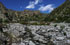 Tucum�n: cuesta de los Cardones, 26�40'21''S 65�49'12''W, 2700 m.