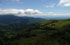 Tucum�n: Trancas, pr. Hualinchay, 26�18'26''S 65�35'34''W, 1540 m.