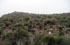 Tucum�n: Trancas, pr. Hualinchay, camino a Tolomb�n, 26�22'42''S 65�43'43''W, 2585 m.