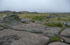 C�rdoba: Sierra de Achala,  pr. Los Gigantes, 31�24'09''S 64�48'01''W, 1900 m.