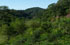 Tucum�n: Trancas, pr. Ticucho, 26�36'50''S 65�13'25''W, 770 m.
