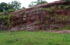 Salta: pr. San Pedro, 26�07'31''S 65�04'10''W, 1000 m.
