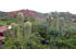 La Rioja: Cuesta Miranda, 29�20'53''S 67�42'19''W, 1610 m.