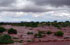 La Rioja: pr. Los Tambillos, 29�26'04''S 67�55'50''W, 1400 m.