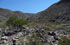 San Juan: Ullum, Termas Talacasto, 31�01'31''S 68�45'27''W, 1310 m.