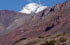 Mendoza: Luj�n de Cuyo, pr. Potrerillos, 32�55'58''S 69�12'55''W, 1400 m.