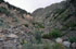 Mendoza: camino entre Uspallata y Termas de Villavicencio, 32�30'53''S 69�03'03''W, 2490 m.