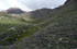 Mendoza: Departamento Luj�n de Cuyos, Vallecitos, 32�58'25''S 69�21'27''W, 3970 m.