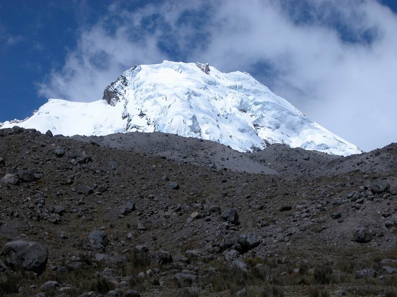  Napo: Reserva ecológica Antisana, ladera SW del volcán Antisana, 00º29'42''S 78º12'00''W, 4200 m.