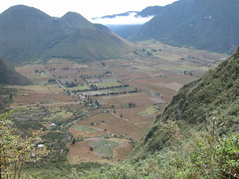  Pichincha: reserva geobotánica Pululahua, 00º01'31''S 78º29'00''W, 2795 m.